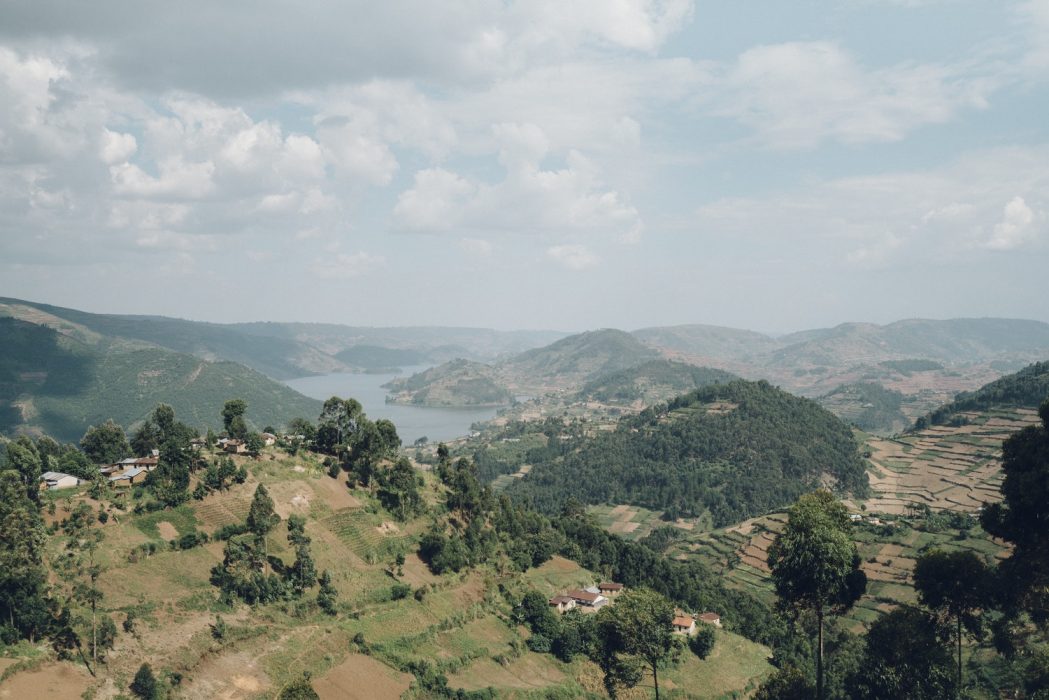 Avskogsningstakten i Uganda ökar i alarmerande takt.