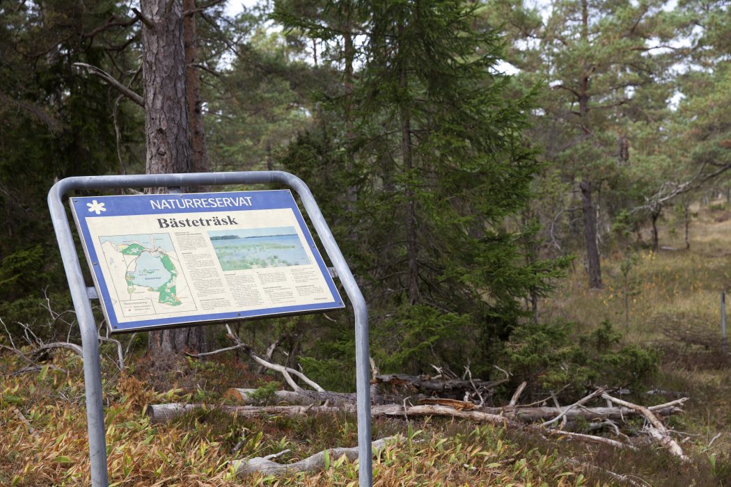 Skylt vid Ojnareskogen.
