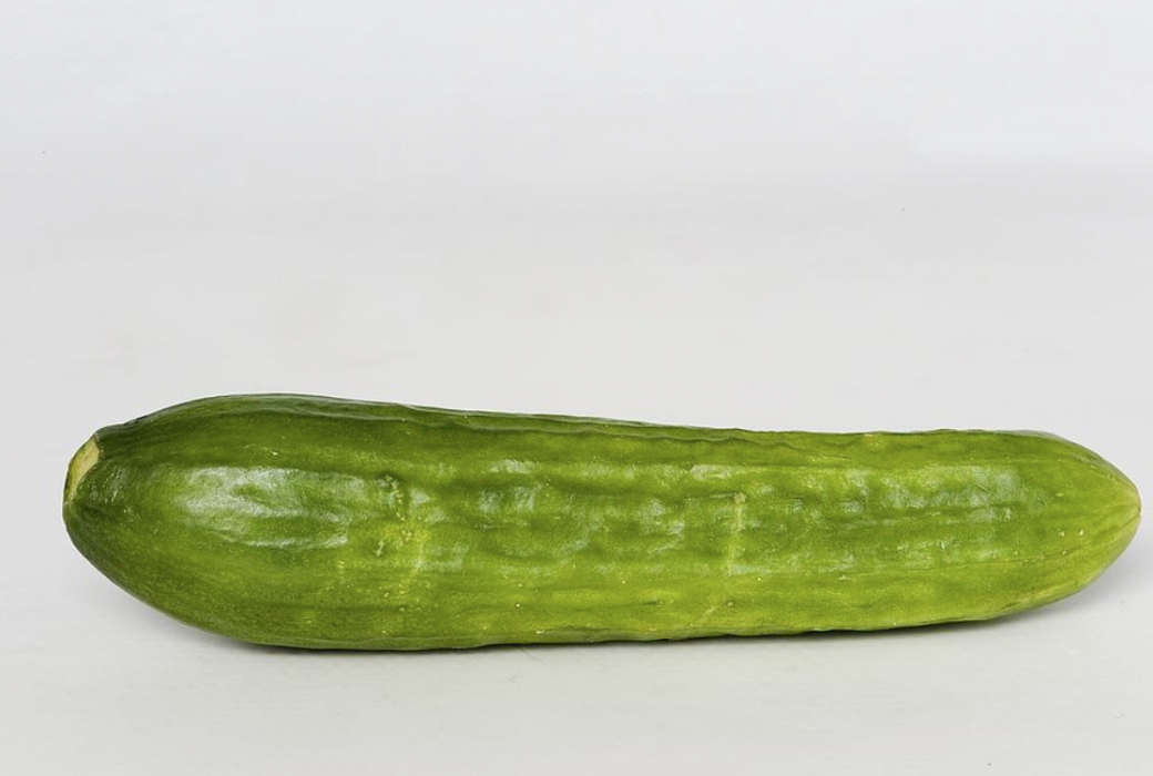 Gurkorna trivdes inte i torkan.