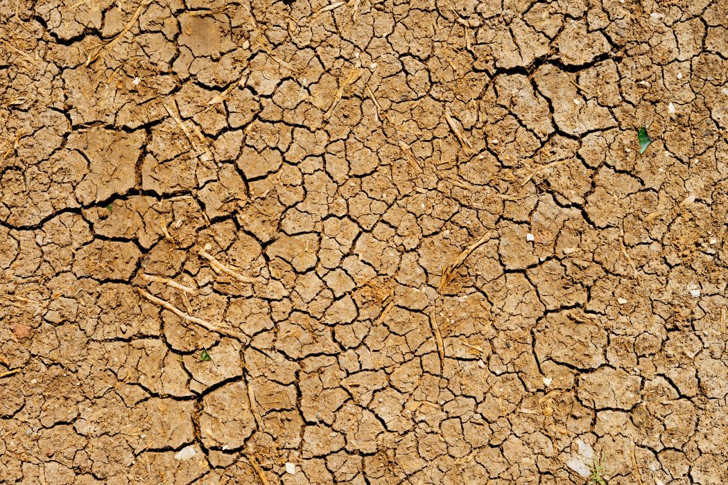 Torka och vattenbrist är en av effekterna klimatförändringarna kan få på lång sikt.