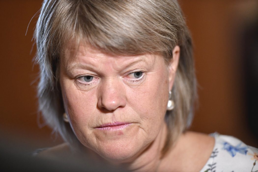 Vänsterpartiets ekonomiskpolitiska talesperson Ulla Andersson.