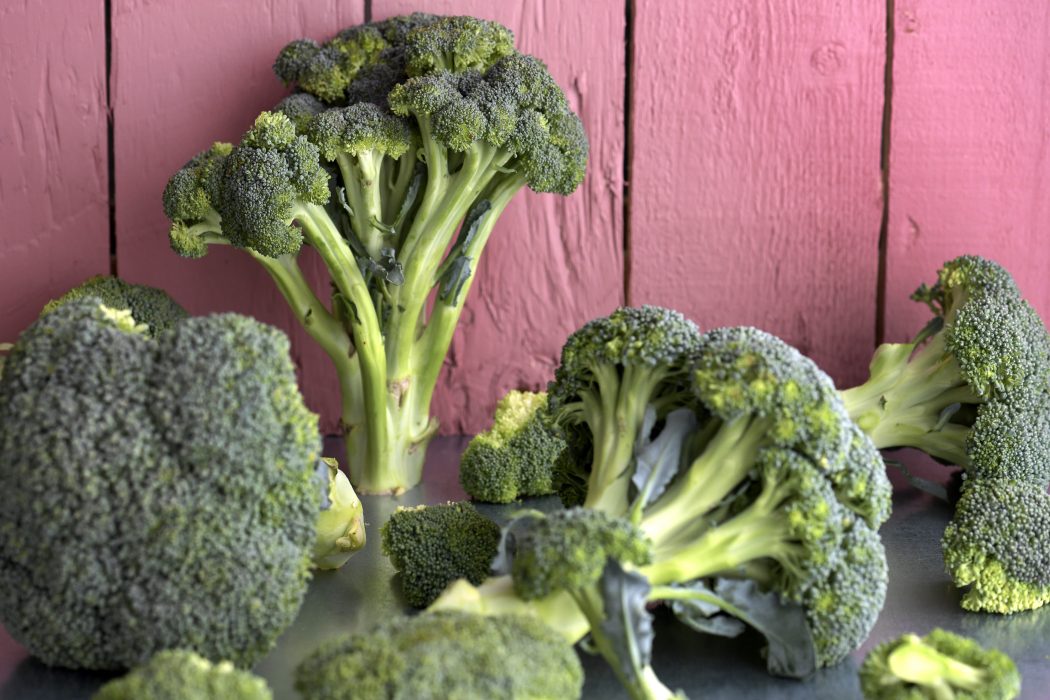 i Sverige skördas endast den övre delen av broccoliplantan, medan resten plöjs ner.