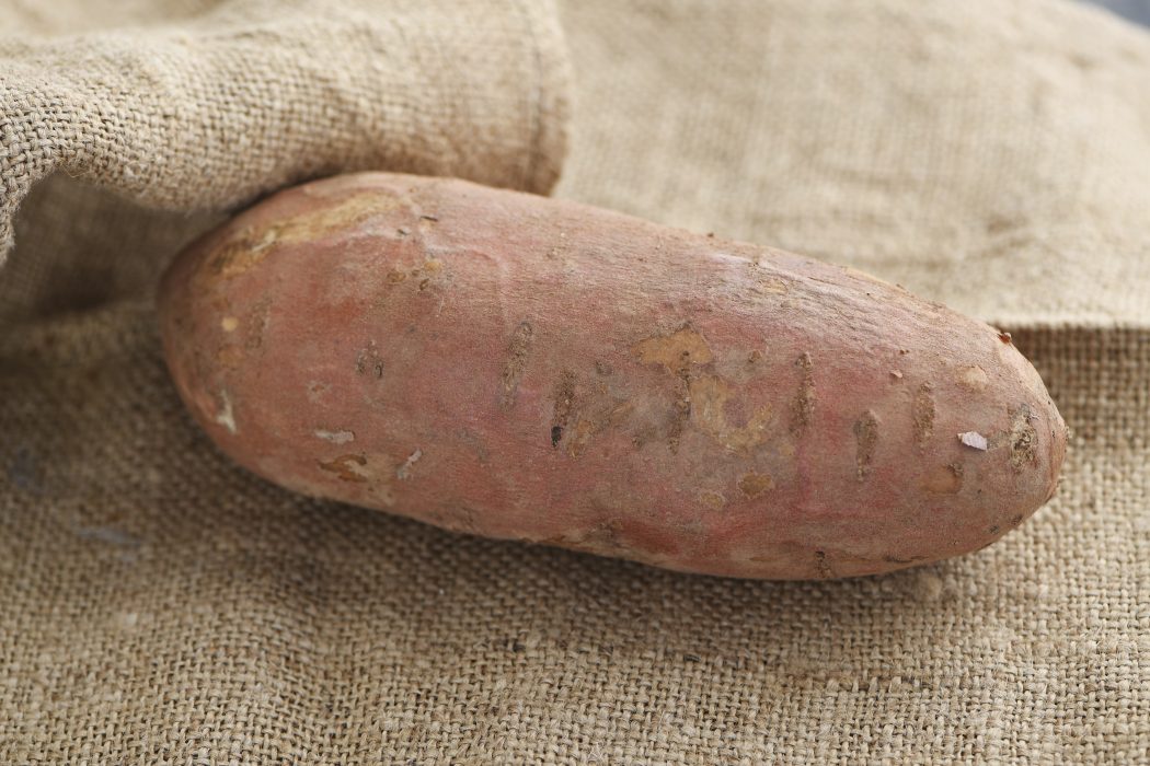 Sötpotatis är den 7:e mest odlade grödan i världen.