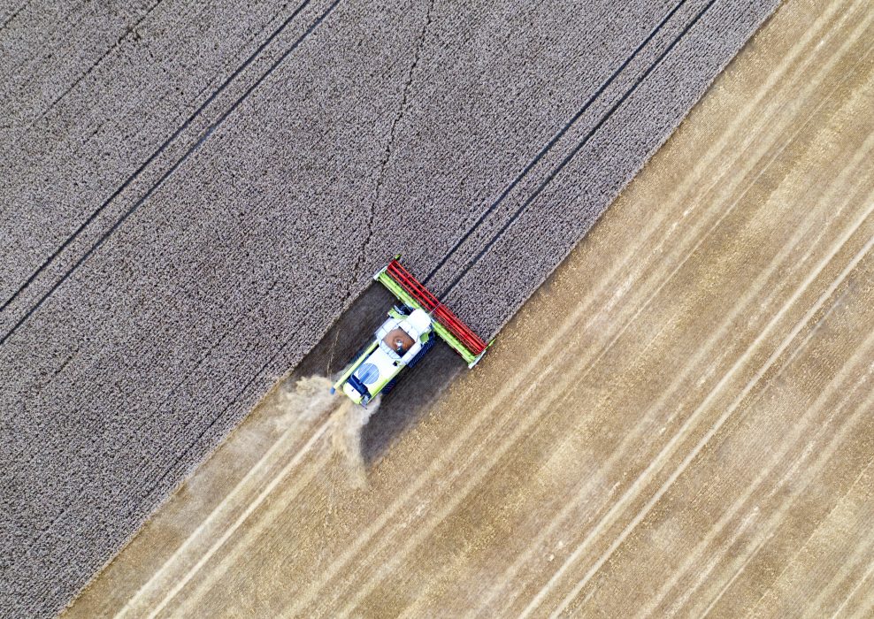 Ska vi ha en chans att nå klimatmålen måste det ske ändringar i hur vi producerar livsmedel och vad vi äter, enligt ny rapport från IPCC.
