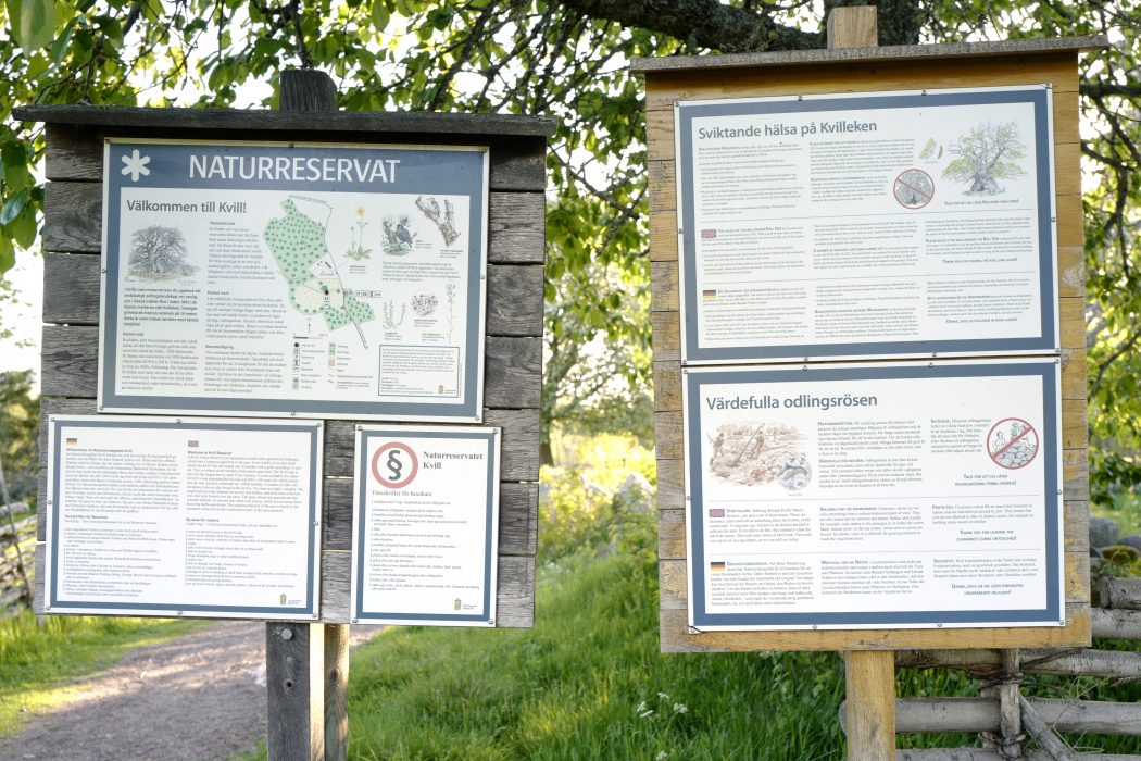 I Sverige finns över 5 000 naturreservat.