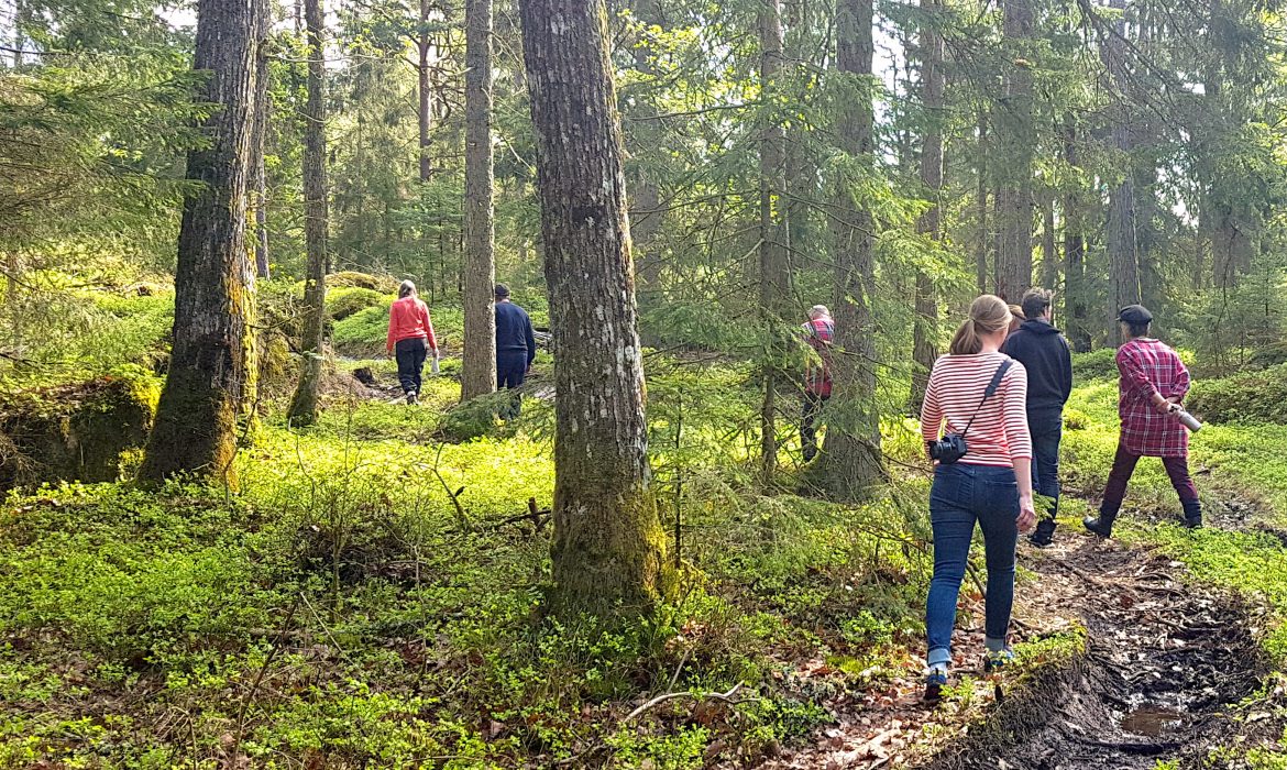 Ekopedagogik kallas också en jordcentrerad pedagogik, att vi lär av och med naturen om hur förändring går till.