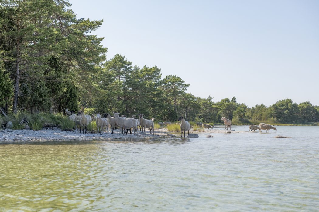 Delar av den föreslagna nationalparken är redan naturreservat och Natura 2000-områden.
