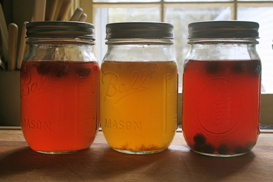 Kombucha uppges ha flera positiva effekter på hälsan.