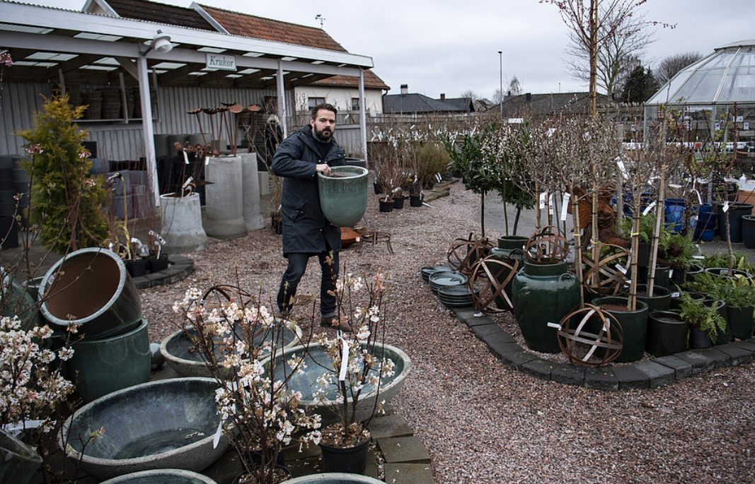 Bobby Seger, vd för Flyinge Plantshop, bland krukor och växter i handelsträdgården utanför Lund.