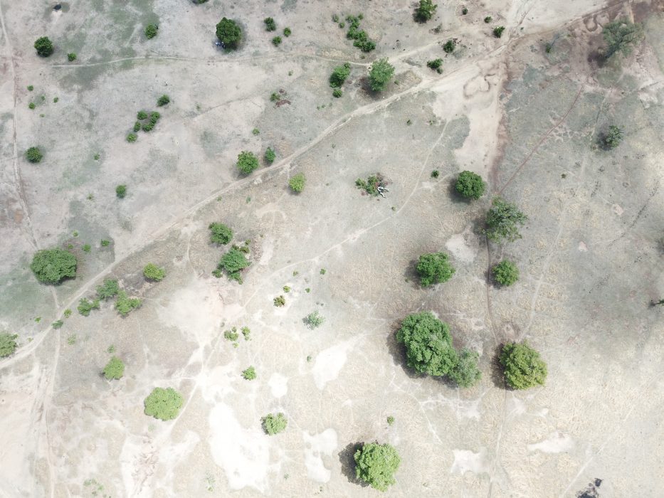 Förstörelsen av marker, skogsbränder och torka kostar varje år världsekonomin enorma belopp och bidrar till klimatförändringarna.