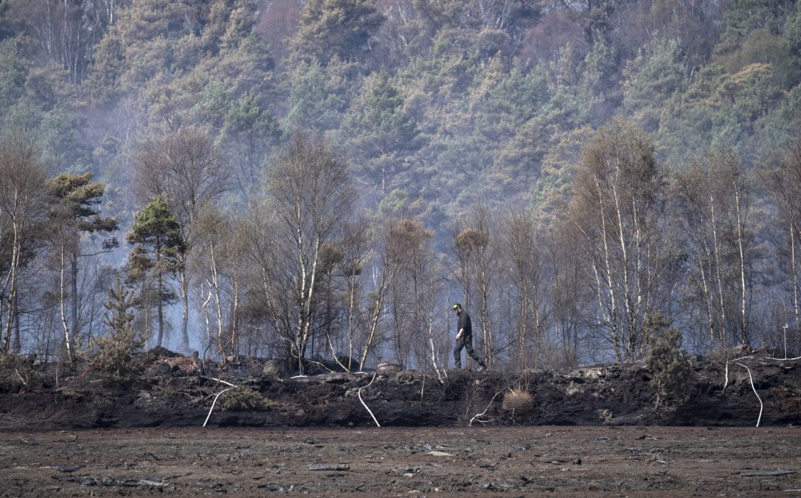 Skogsbrand i Hästveda i Hässleholms kommun - en av bränderna som rasade förra veckan.