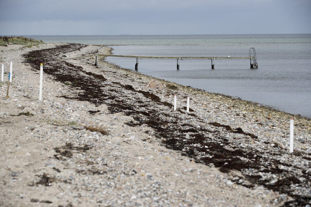 Himmark Strand vid Nordborg i södra Danmark, som förorenades kraftigt av dumpandet av avfall vid platsen i mitten av 1900-talet.