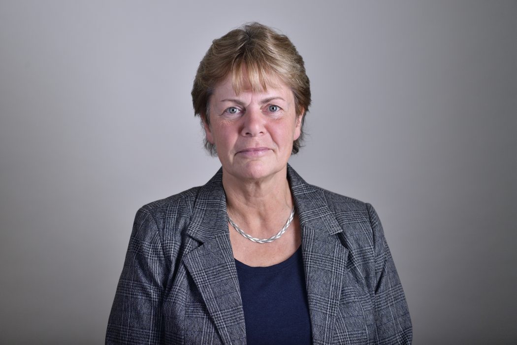 Helena Gellerman sitter i riksdagens trafikutskott för L.