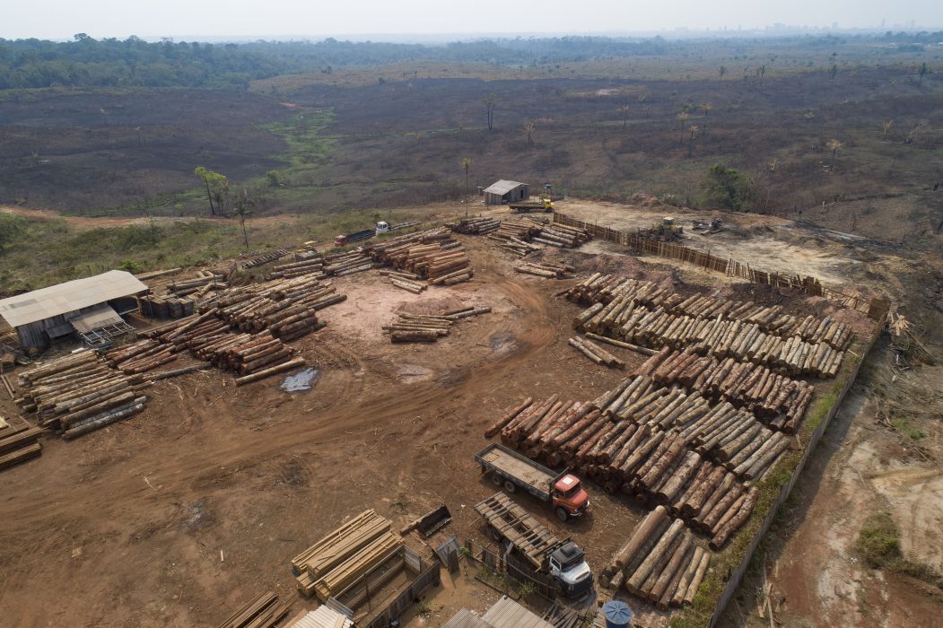 Reviderade siffror från Brasilien visar att avskogningen av Amazonas är större än man tidigare trott.