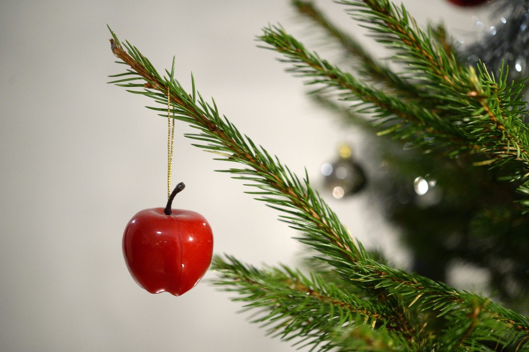 Julgranen bör helst vara krav-märkt skriver Naturskyddsföreningen.