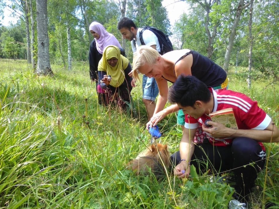 Bild från en naturguidning som nyanlända har hållit via Naturskyddsföreningen i Örebro.