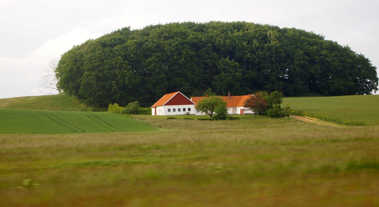Att bevara små skogar kommer hjälpa till att öka människans välbefinnande i jordbrukslandskap, argumenterar författarna till studien.