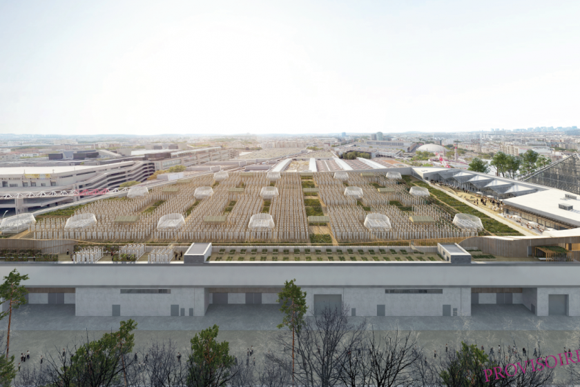 Odlingen i Paris kommer att bli det största aeroponiska projektet i världen.