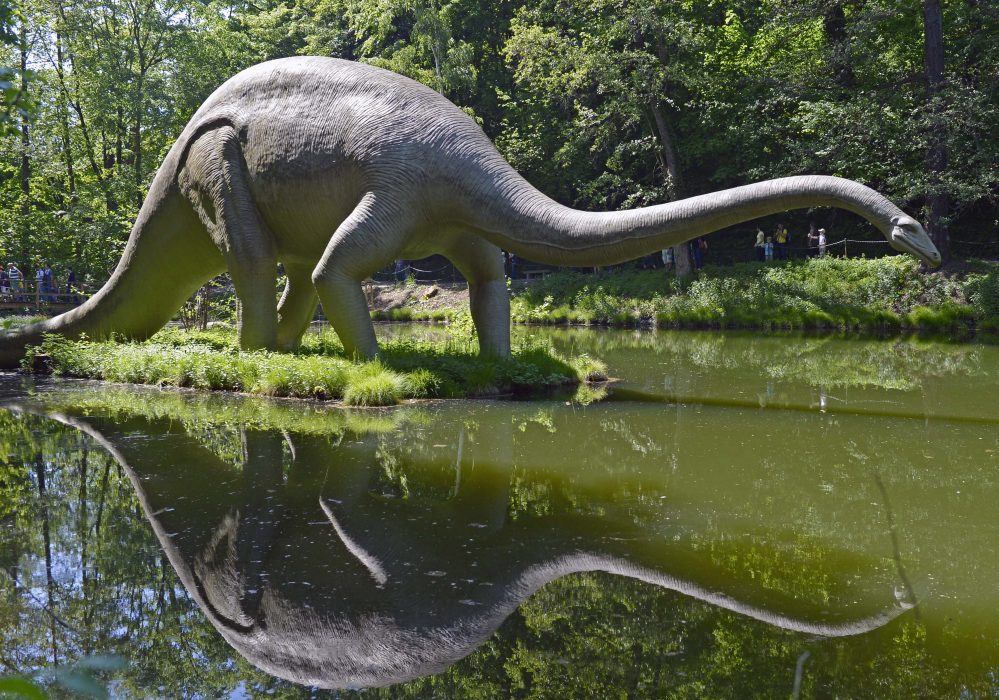 Människa eller dinosaurie? Kanske skulle detta vara en vanlig svensk om den energi vi förbrukar speglades i vår kroppsvikt.