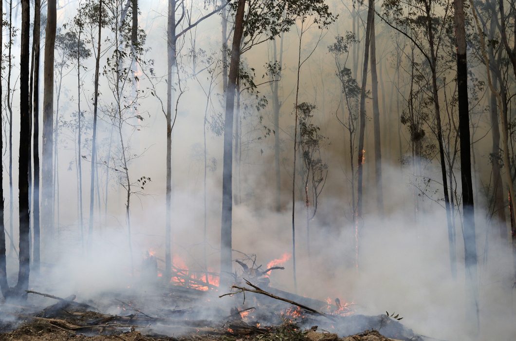 Delar av östra Australien ser fram emot regn som spås komma senare i veckan.