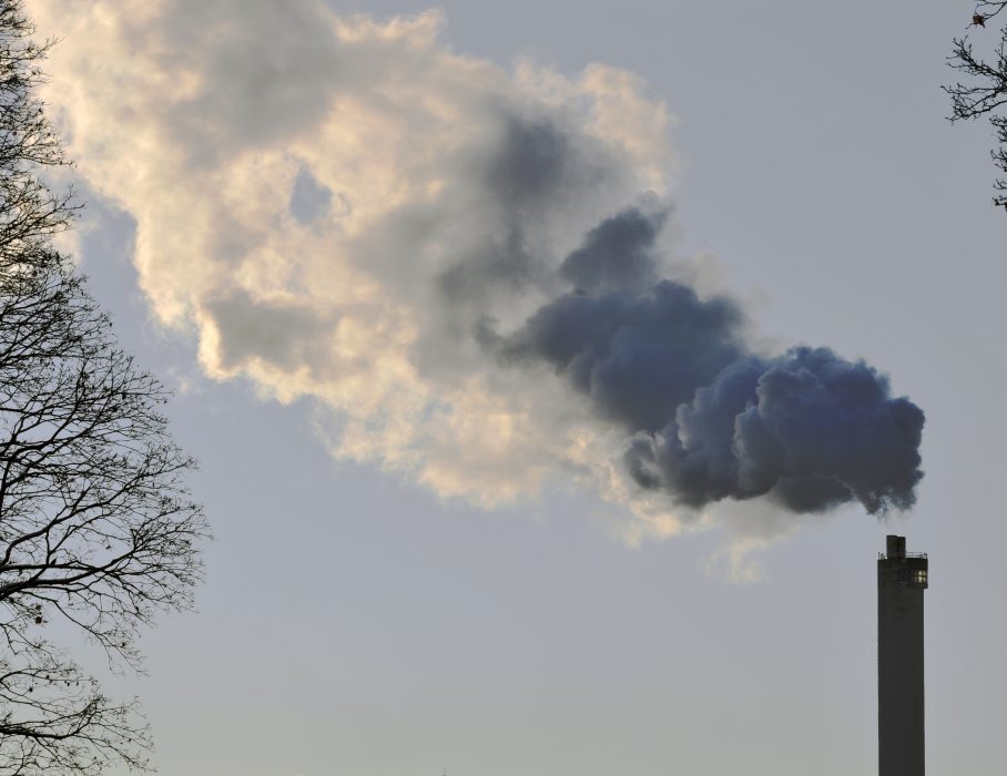 2020 kan bli ett viktigt år för rättstvister relaterade till klimatförändringar, tror experter.