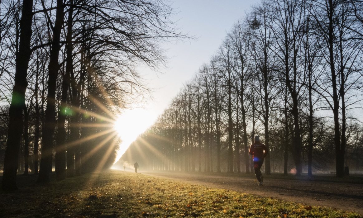 Årets januari var en ovanligt varm månad i Europa.