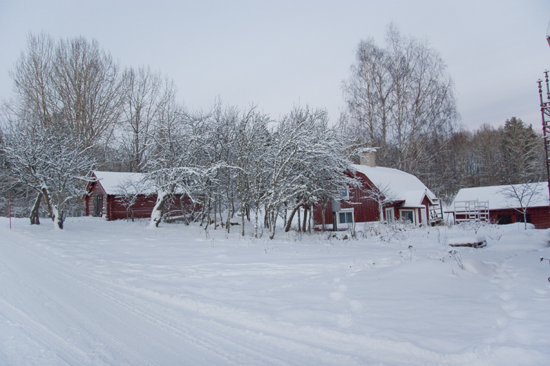 Alltfler flyttar från storstaden till landsbygden.