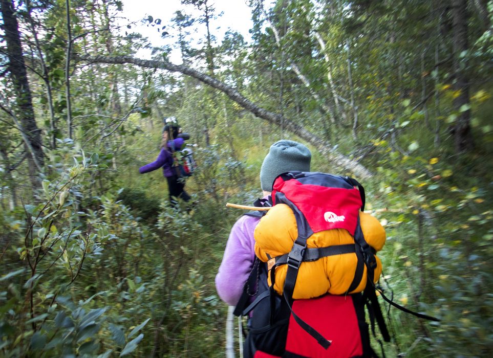 Ta en paus från den sociala isoleringen och ge dig ut i naturen, uppmuntrar Naturskyddsföreningen.