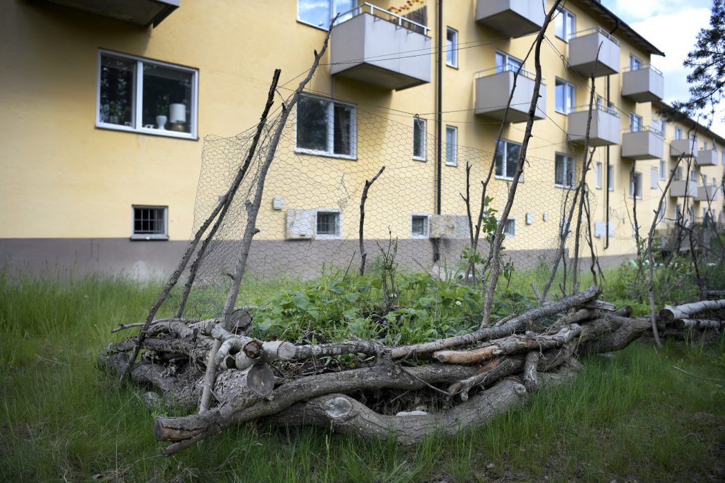 Omställningsnätverket har länge jobbat med att bygga motståndskraftiga lokalsamhällen.