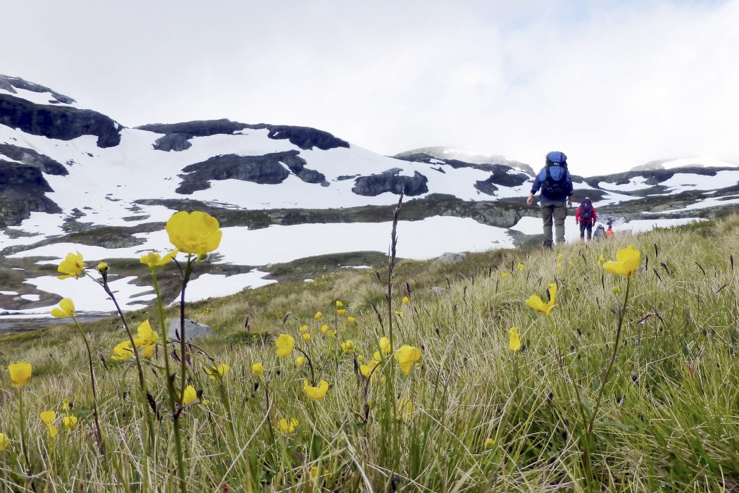 Coronakrisen kan på sikt leda till nya resvanor med att fler väljer att turista på hemmaplan.