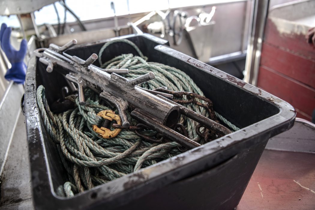 Yrkesfiskare ska få betalt för att ta upp "spöknät" och andra förlorade fiskeredskap, som annars vållar lidande och död för många arter i havet.