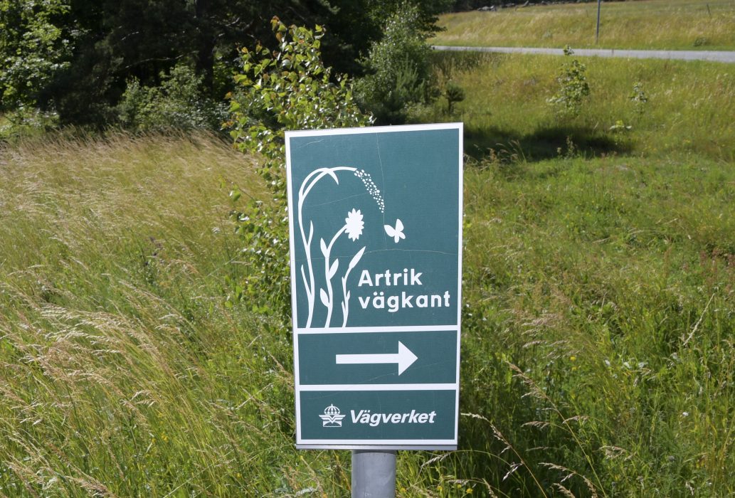 Trafikverket ska testa att omvandla gräs från vägkanter till biogas.