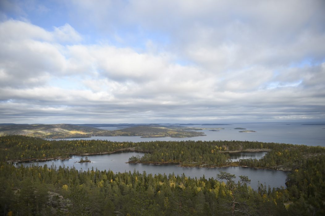 Höga kusten är ett unikt exempel på hur geologiska krafter drastiskt har präglat ett landområde på relativt kort tid, genom den mycket kraftiga landhöjningen som skett efter den senaste istiden.