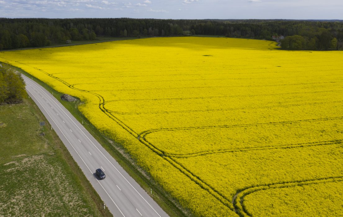 Många insekter och spindlar trivs dåligt i odlingslandskap som domineras av en gröda.