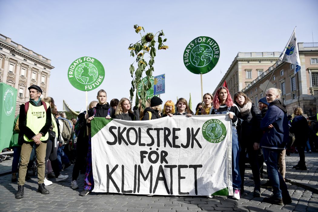 Många svenska Fridays for future-grupper kör igång igen nu efter en lång paus.