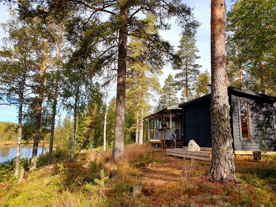 Rodrigo Willner tycker att off-grid är bästa alternativet för den som vill ta en paus från arbete och stadsliv: ”Man får ett otroligt liv med underbara intressen, bekvämlighet och därtill utmärkt ekonomi.