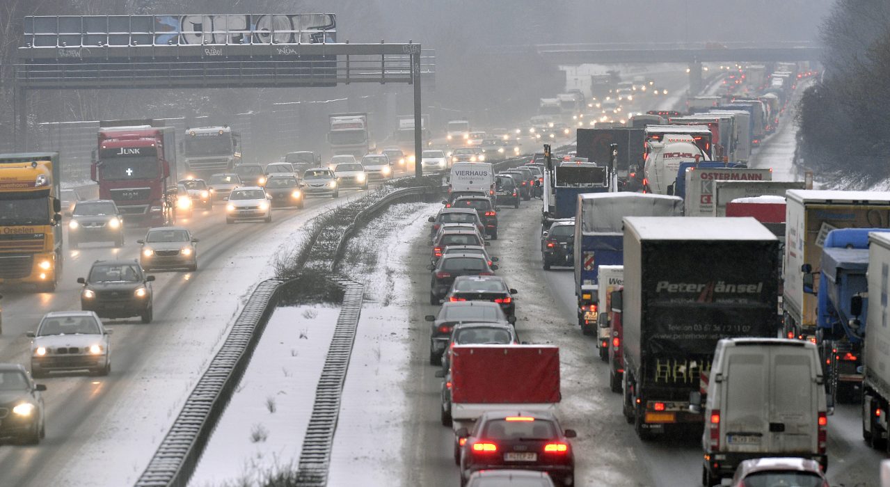 Köer på en motorväg utanför tyska Gelsenkirchen.