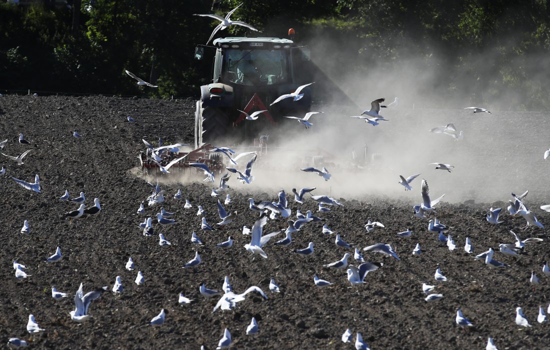 Tillgången till mark och kontroll över naturresurser är centrala för att mildra klimatförändringarna, enligt en ny rapport.