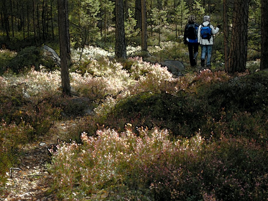 I den här texten beskriver Bernt Lindberg från Omställning Falun hur vi kan ändra på samhället för att vi ska må bättre.