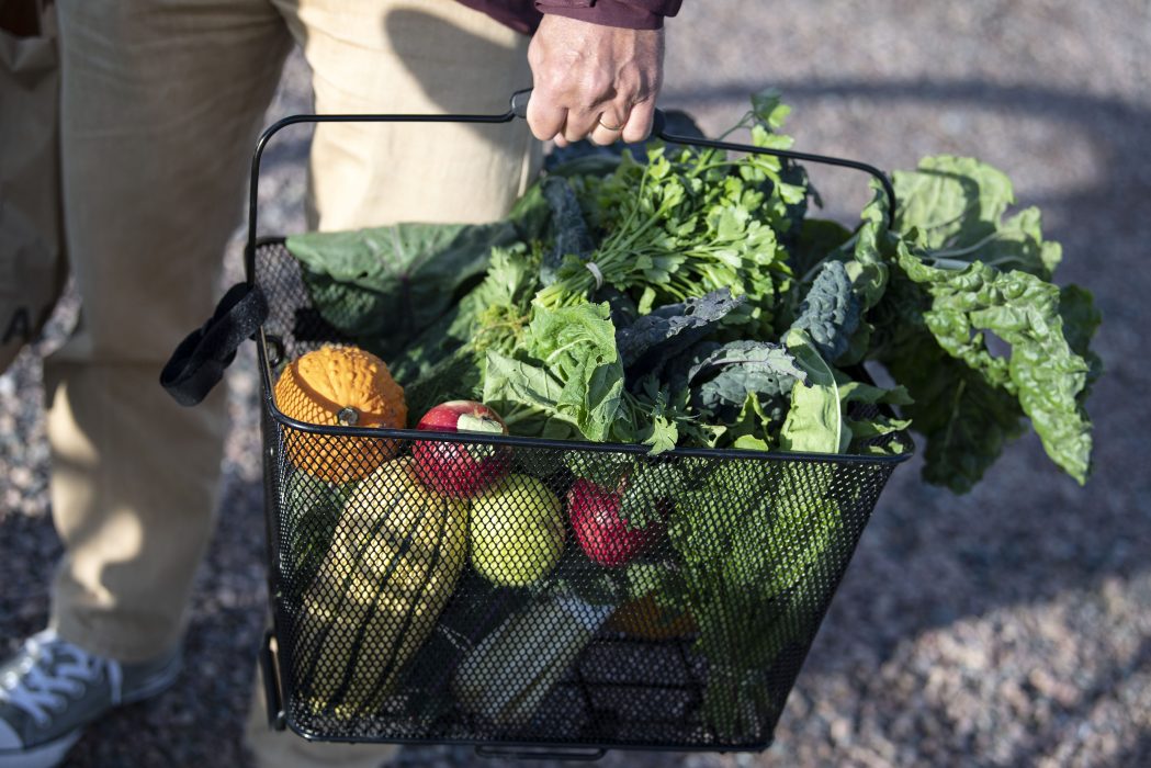 Local Food Nodes är en modell där köpare på förhand beställer varor av lokala producenter som sedan lämnas ut på ett utlämningsställe.