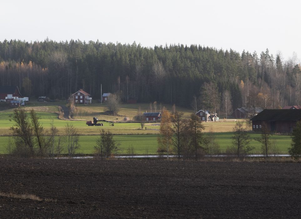 Äldre som inte kan hitta ett trygghetsboende bor ofta kvar i stora hus, trots att de skulle vilja flytta.