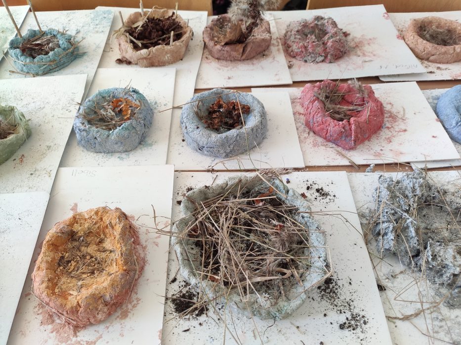 På Norrskolan i Uddevalla har eleverna bland annat talat om att många fågelarter är hotade och sedan fått tillverka skulpturer av fålar och fågelbon i papier maché.