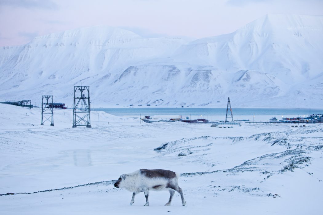 De senaste åren har utsläppen från kolkraftverket i Longyearbyen på den norska ögruppen Svalbard ökat.