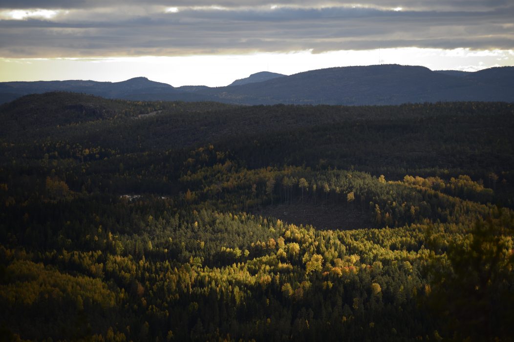 Nationalparkerna i Norrland beskrivs ofta som mystiska och sublima i besöksmaterial.