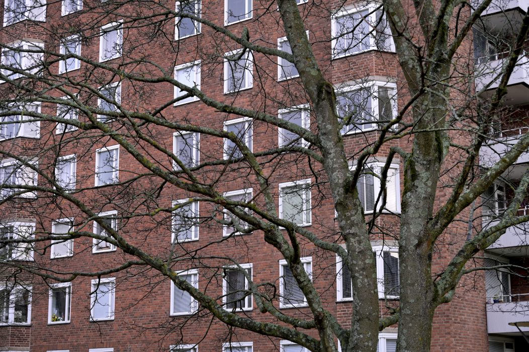I boken "Bostadsmanifest" kräver forskare och aktivister att alla ska ha rätt till ett gott hem de har råd med.