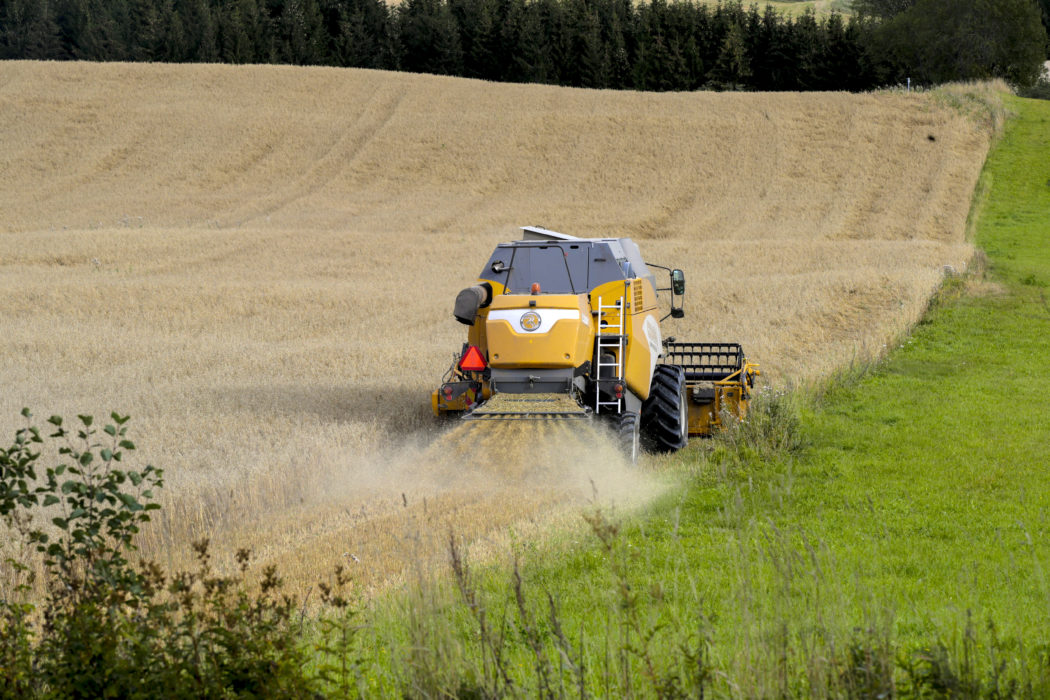 Jordbruksverkets förslag innebär att jordbrukare efter 2023 får ettåriga miljöersättningar för till exempel ekologisk produktion, mellangrödor och fånggrödor.