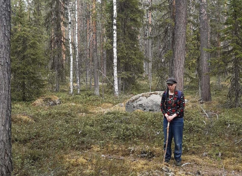 Kyrkans skogar bör brukas som kontinuitetsskogar med kallhyggesfria metoder, anser Mask.