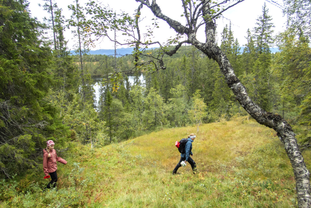 Forskning visar att rehabilitering i trädgård, med inslag av djur och natur kan vara avgörande för personer sjukskrivna med utmattningssyndrom.