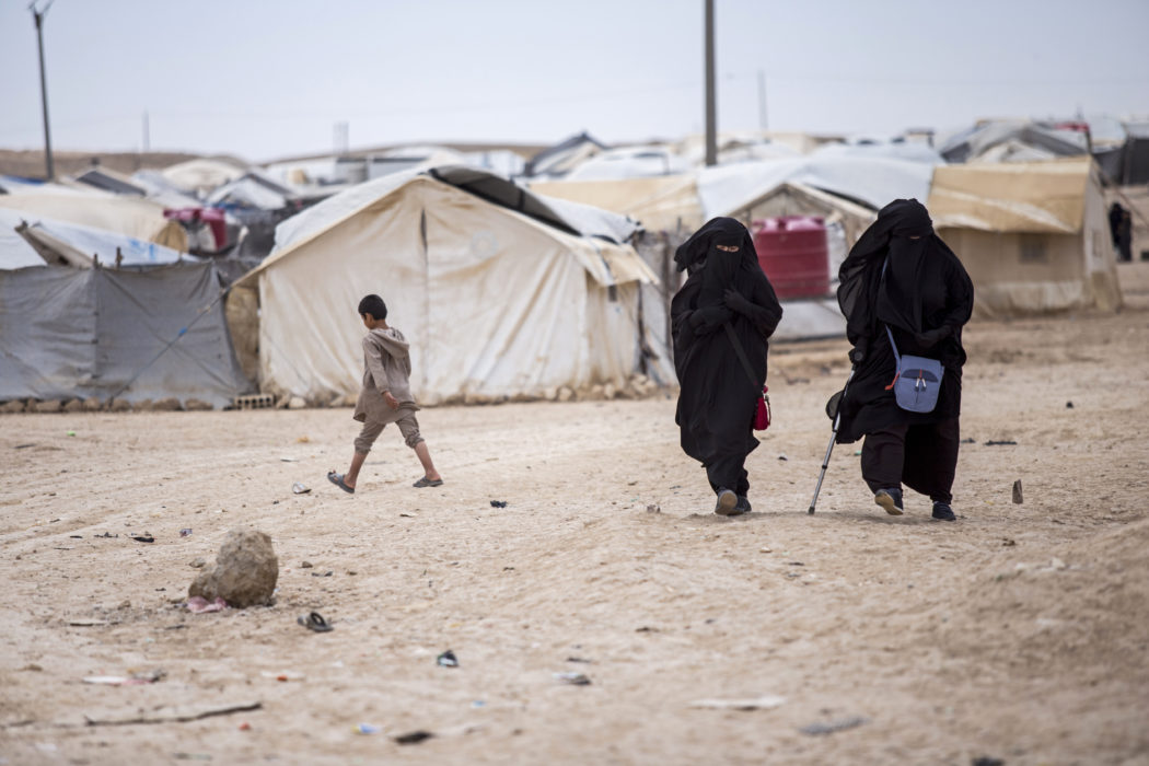 Runt 60 000 flyktingar, däribland familjer och IS-anhängare, bor i lägret al-Hol i norra Syrien.