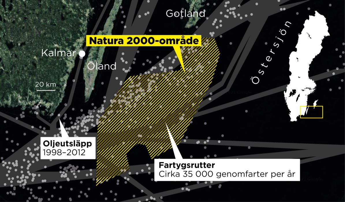 Varje år passerar omkring 35 000 fartyg genom det Natura 2000-område som omfattar Hoburgsbanken och Midsjöbankarna.